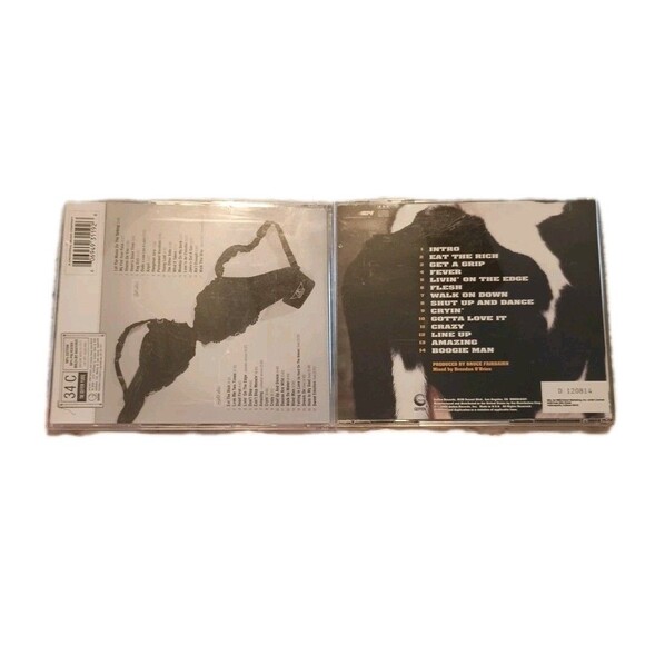 Lot Of 2 Aerosmith CD's 2001 Young Lust 2 Disc Set & 1993 Get A Grip - Picture 2 of 5